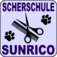 (c) Scherschule-sunrico.de